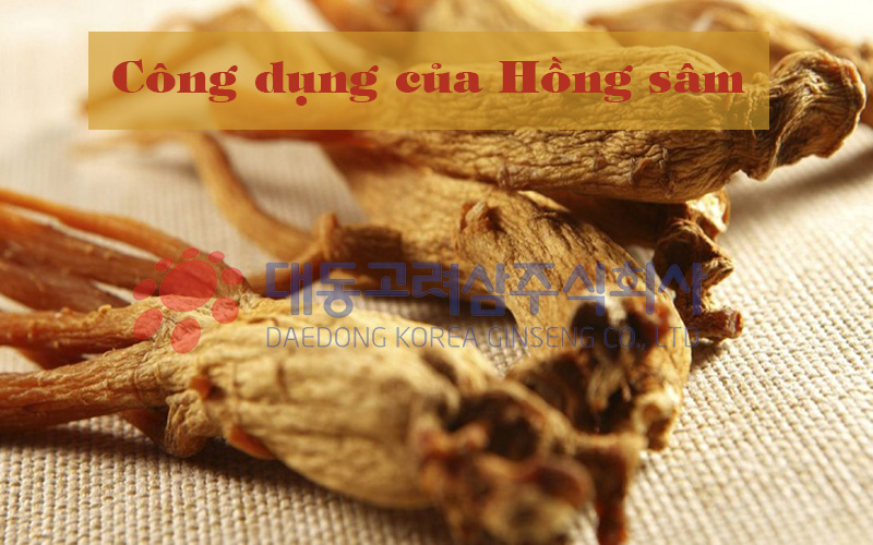 Tác dụng của Hồng sâm với sức khỏe con người - Daedong Korea Ginseng Co.,Ltd.