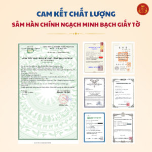 Bột thái cực sâm 100% (100g x 3) - Daedong