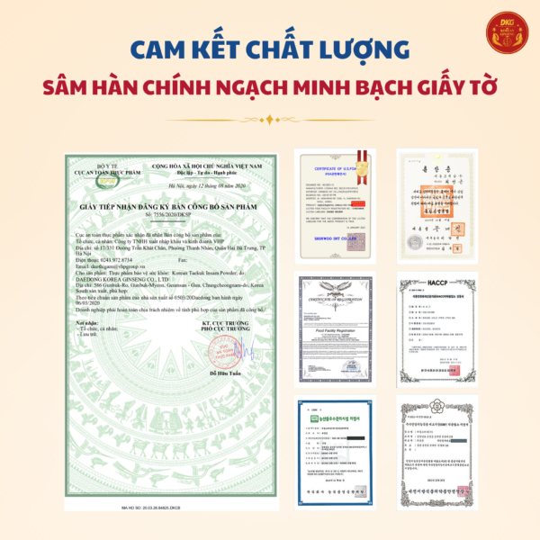 Bột thái cực sâm 100% (100g x 3) - Daedong