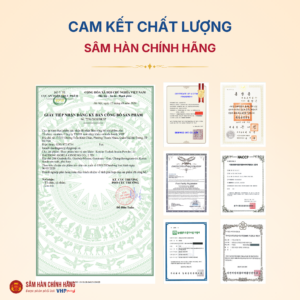 Bột Thái cực sâm Hàn Quốc (Korean Taekuk Insam Powder) 100g*3lọ/hộp