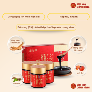 Cao Hồng Sâm lên men (100g x 3 lọ) - Daedong