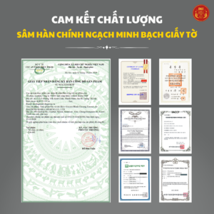 Cao hắc sâm 120g (7mg/g) – Daedong