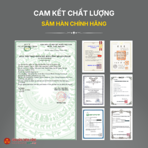 Cao hắc sâm (Ginssen black ginseng essence) 120g/hộp