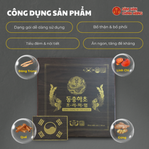 Đông trùng hạ thảo cao cấp DKG
