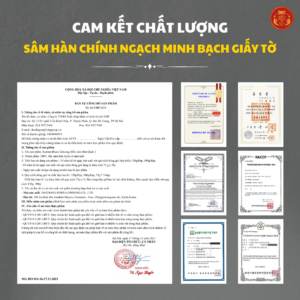 Hắc sâm Hàn Quốc dạng củ 300g (11-20củ) - Daedong