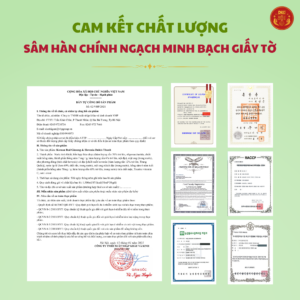 Hồng sâm bổ gan DKG