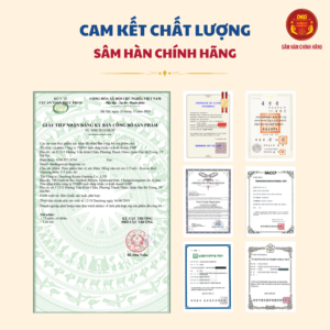 Hồng sâm trẻ em 6-13 tuổi (20ml*30 gói) - Daedong