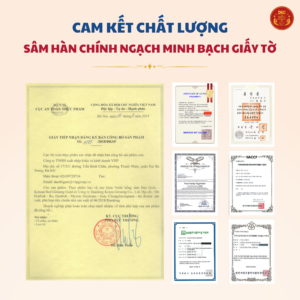 Nước hồng sâm HQ 100% DKG