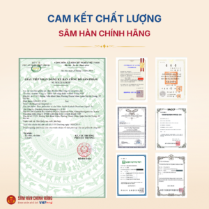 Nước Linh Chi Táo Đỏ cao cấp (Jujube linhzhi premium liquid) 80ml*30gói/hộp