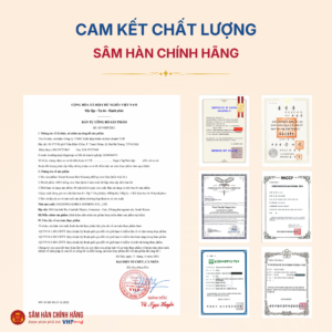 Hồng sâm Hàn Quốc thái lát (Sliced Korea Red Ginseng) 20g*10gói/hộp