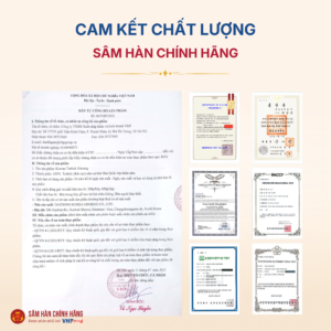 Thái cực sâm củ khô Hàn Quốc (Korean Taekuk Ginseng - 30 Root) 600g/hộp