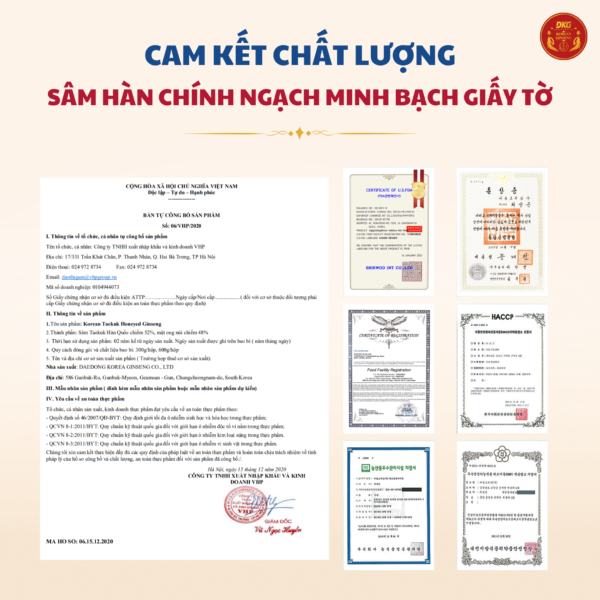 Thái cực sâm mật ong 600g (Thiên sâm) - Daedong