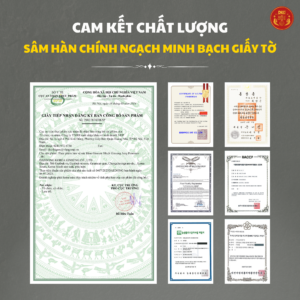 Tinh chất hắc sâm cao cấp - DKG