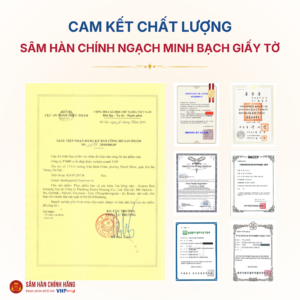 Trà Hồng Sâm (Korean Red Ginseng Tea) Hàn Quốc 3g*50gói/hộp
