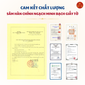 Trà hồng sâm 50 gói