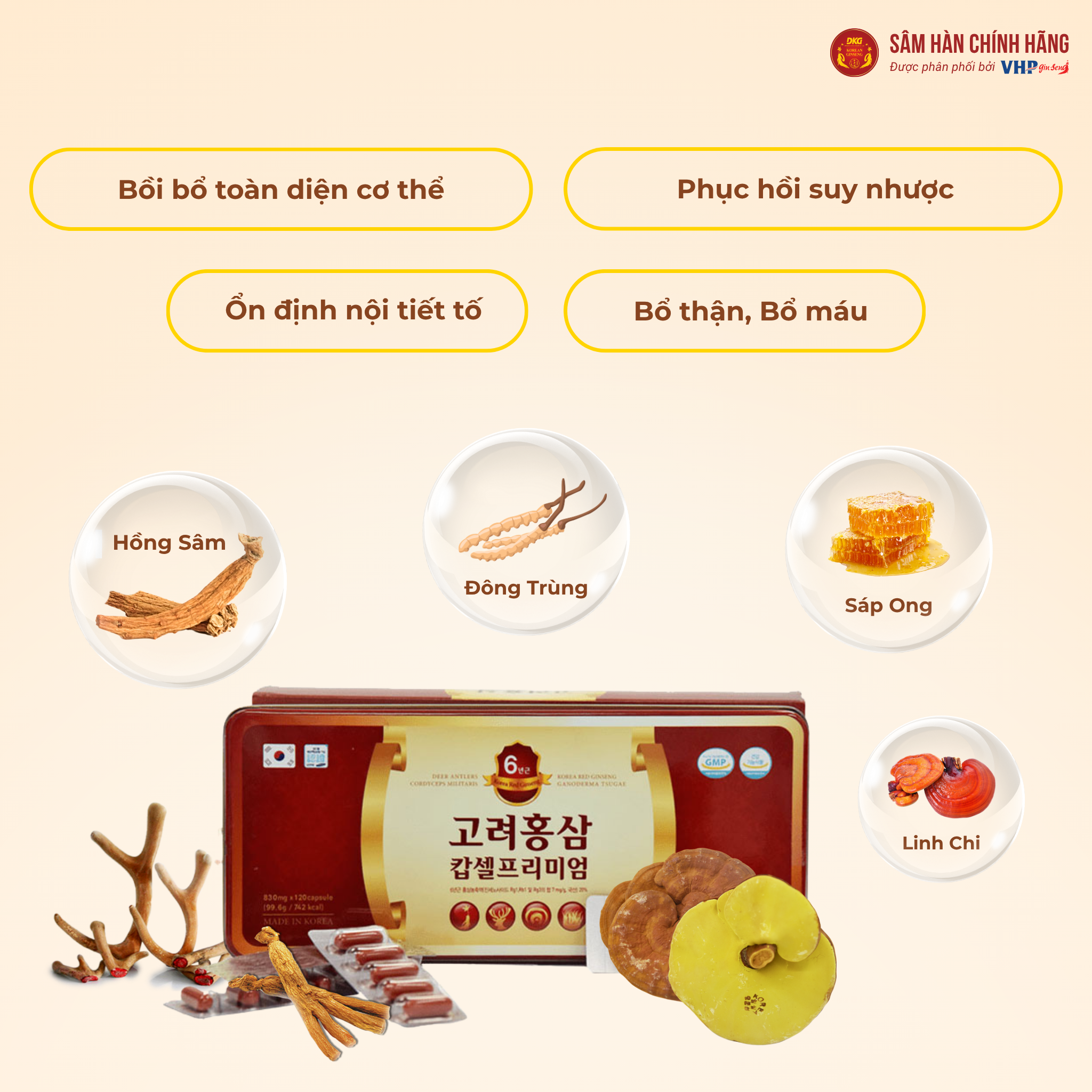 Viên hồng sâm cao cấp Hàn Quốc 1 Viên hồng sâm cao cấp Hàn Quốc (Korea Red Ginseng Capsule Premium) 830mg*120 viên/hộp