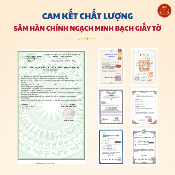 Viên sâm nhung linh chi đông trùng 120 viên - Daedong