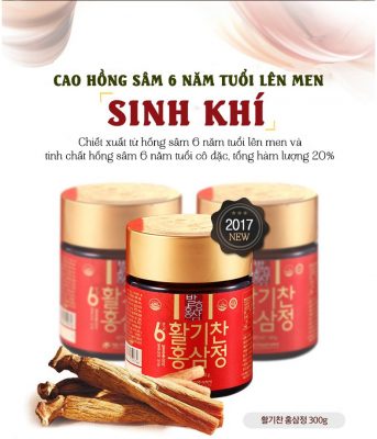 Cao Hồng Sâm lên men (100g x 3 lọ) – Daedong