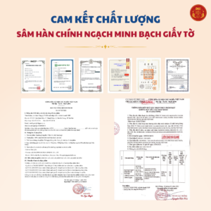 Nấm Linh Chi 1000g - Daedong