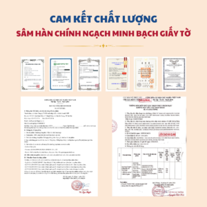 Nấm Linh Chi 500g - Daedong