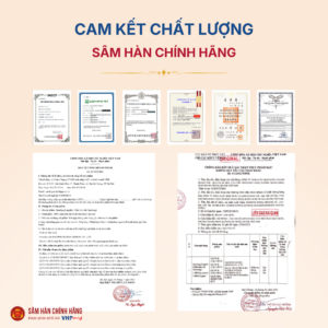 Nấm Linh Chi Daedong (Daedong Lingzhi) sấy khô nguyên tai 1000g/hộp