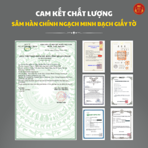 Cao hắc sâm 240g (7mgg) – Daedong