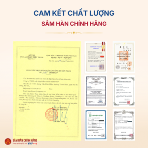 Hồng sâm củ khô 6 năm tuổi (Korean Red Ginseng 6Y 20 Root) 600g/hộp