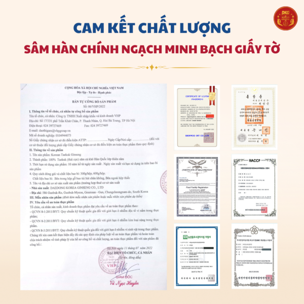 Thái cực sâm củ khô HQ (Thiên sâm) 600g - số 20 (20củ special)
