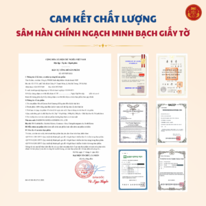 Hồng sâm HQ thái lát (200g dạng lọ) - DKG