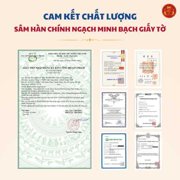 Hồng sâm HQ hàng ngày Daily