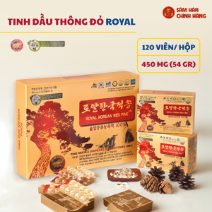 Royal Korean Red Pine - Thông đỏ hoàng gia Hàn Quốc 120v