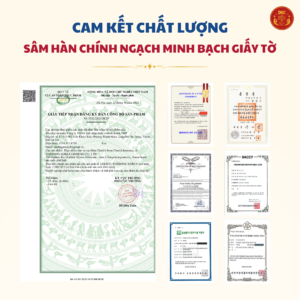 Bổ xương khớp (12g*30 stick) - Daedong