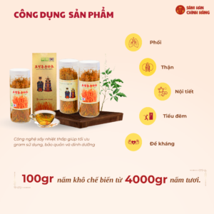 Đông trùng hạ thảo Militaris Hoàng Gia (100g/lọ)