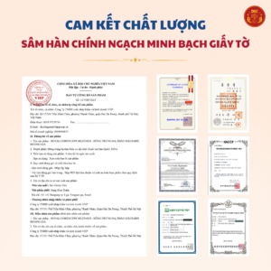 Đông trùng hạ thảo Militaris Hoàng Gia (100g/lọ)