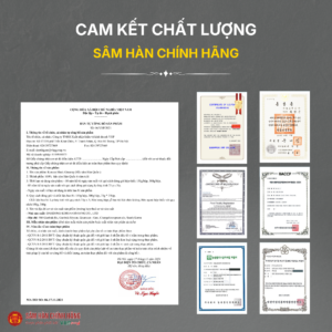 Hắc sâm Hàn Quốc (Korean black ginseng 6Y 6-10 Root) Dạng củ 150g/hộp