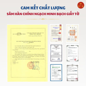 Nước hắc sâm 100% DKG