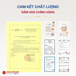 Nước hắc sâm Hàn Quốc (Ginssen Black Ginseng Jin Sunsu) 60ml*30gói/hộp