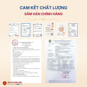 Thạch hồng sâm Hoa chuông Daedong (20g x 30 stick)