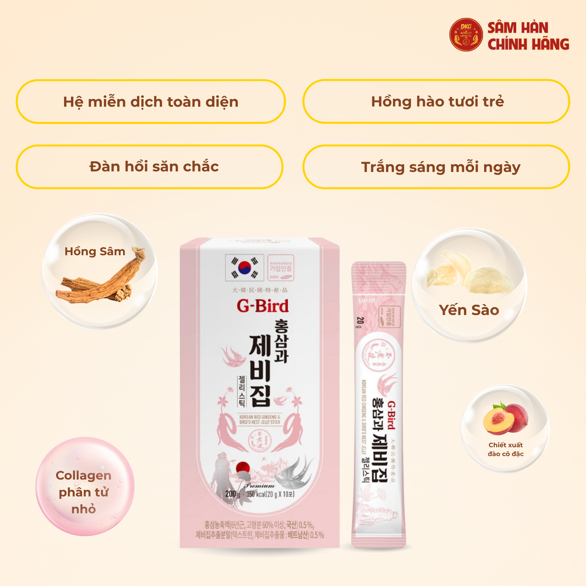 Hồng sâm yến sào G-BIRD DKG - 1 Hồng sâm yến sào G-BIRD DKG