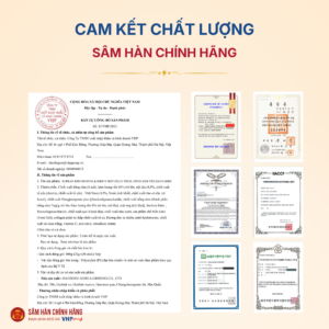 Hồng sâm yến sào G - Bird dạng thạch (Korean red Gingseng & Birds nest Jelly Stick) 20g*30/hộp