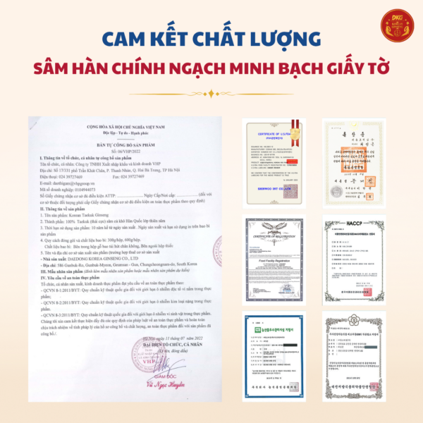 Thái cực sâm củ khô HQ (Thiên Sâm) 300g số 30 (30 củ) - Daedong (new)