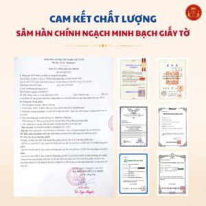 Thái cực sâm củ khô HQ (Thiên sâm) 300g số 10 (10 củ)