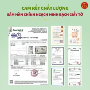 Hồng sâm trẻ em (baby) Hàn Quốc 2-13 tuổi Jelly DKG (thạch stick)