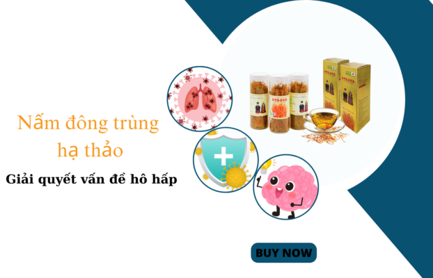 Bông Đông Trùng Hạ Thảo Sấy Khô Cao Cấp Hàn Quốc