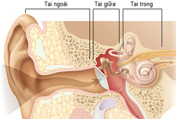 Viêm tai giữa – “thủ phạm giấu mặt” gây rối loạn tiền đình mà nhiều người bỏ qua