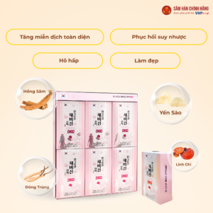 Nước Yến Sào Hồng Sâm DKG (Korean red ginseng Bird's nest Extract DKG) 70ml*30gói/hộp