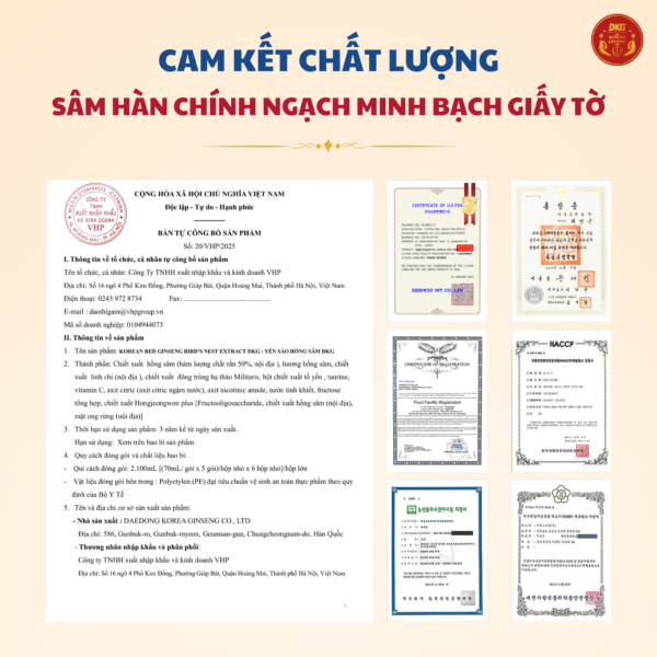 Yến sào hồng sâm DKG