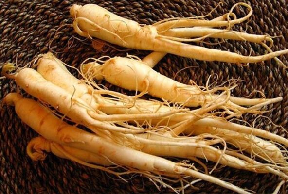 Ứng dụng của nhân sâm trong việc chăm sóc sức khỏe hiện đại