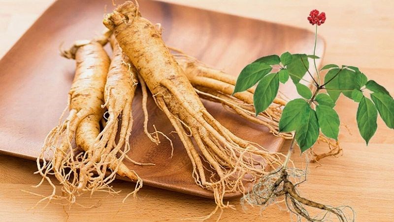 Nhân sâm Hàn Quốc: Tinh túy đất trời, sức khỏe vẹn tròn Nhân sâm Hàn Quốc: Tinh túy đất trời, sức khỏe vẹn tròn
