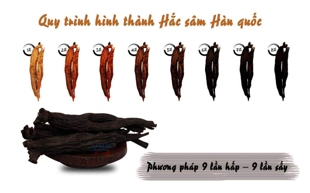 Quy trình chế biến Hắc sâm Quy trình chế biến Hắc sâm